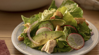 s11e10 — New Book Release Dinner Party