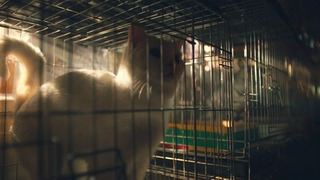 s01e13 — Episode 13