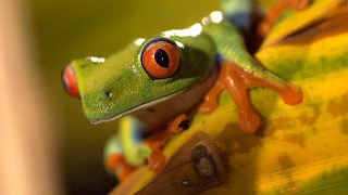 s01e02 — Land Invaders