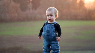 s19e10 — Whose Farm Is It Anyway?