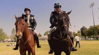s04e11 — Reno Mounties