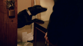 s02e05 — Hundepatruljen