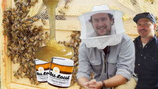 s02e04 — Brad Makes Honey