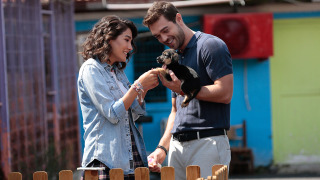 s01e11 — 11. Bölüm