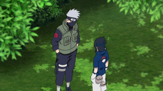 s20e07 — The Search Mission