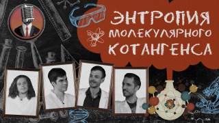s01e12 — Семинар № 11