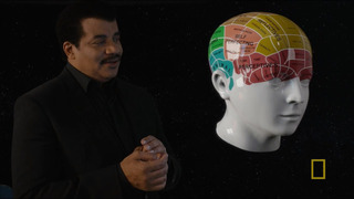s03e05 — The Cosmic Connectome
