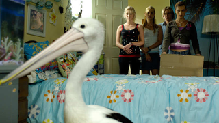 s01e19 — Hurricane Angela