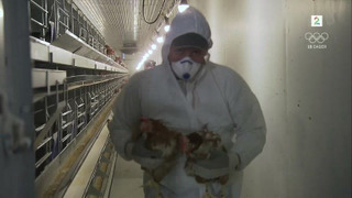 s02e02 — Verpehøner og Pågen-brød