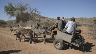 s02e13 — Kalahari Desert's Lost City