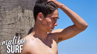 s02e15 — The Single Life