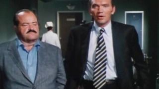 s01e08 — Dead Pigeon