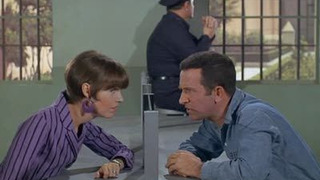 s02e14 — The Whole Tooth and . . .