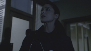 s02e09 — Animal Revenge, Almost Dead and Paranormal Prisoner