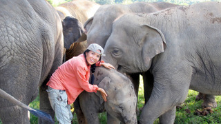 s01e03 — Big Cats and Tiger Sharks