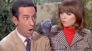 s03e22 — Spy, Spy, Birdie