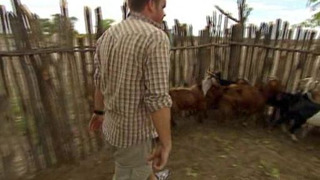 s07e06 — Houston, We Have an Elephant!