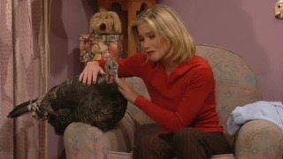 s11e06 — A Bundy Thanksgiving