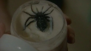 s01e18 — The Werewolf of Fever Swamp (1)