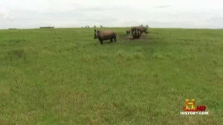 s01e09 — Zulu Siege
