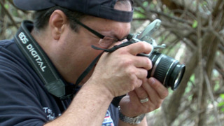 s11e04 — Off the Tracks