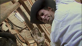 s02e08 — Avian-vomitologist