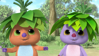 s01e24 — The Smiling Quokkas