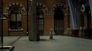 s01e06 — Dog Alone