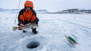 s09e02 — Ice Cold Killer