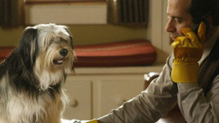 s08e11 — Mr. Monk and the Dog