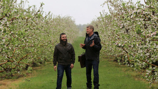 s07e03 — How 'Bout Them Apples