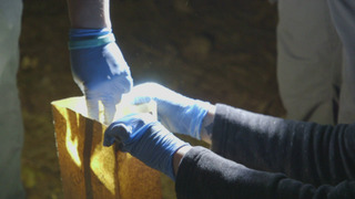 s22e24 — Little Girl Lost