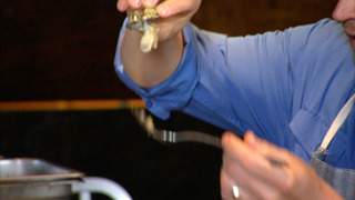 s01e06 — Mt. Viviani Erupts