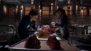 s03e03 — Death in the Saddle