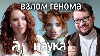 s08e17 — Эрекция фонариком, мышцы без фитнеса,отмена старости, другие чудеса биохакинга от Александра Панчина