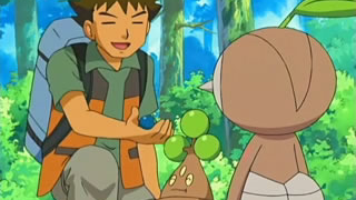 s10e14 — Leave It To Brocko!