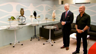 s09e11 — This is for the Birds