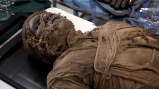 s03e14 — Mummy Dearest