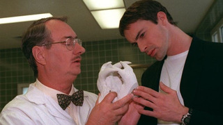 s05e06 — Rex's Revenge