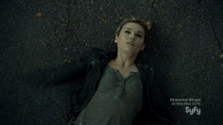 s05e18 — Wild Card