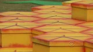 s23e13 — Ticking Time Bomb