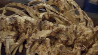 s06e08 — The Twisted Bones in the Melted Truck