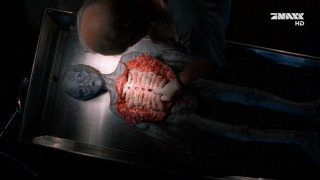 s04e24 — Gethsemane