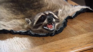 s04e31 — Heads and Tails