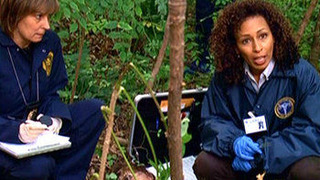 s09e12 — Signature