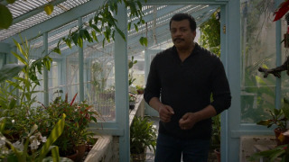s03e04 — Vavilov