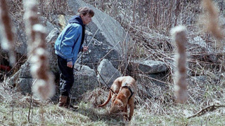 s02e08 — The Incorrigibles