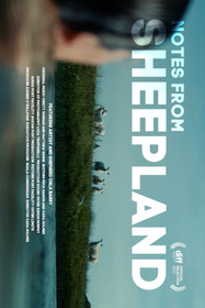 Notes from Sheepland