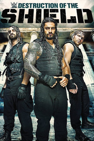The Destruction of The Shield