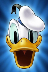 Duck Flies Coop